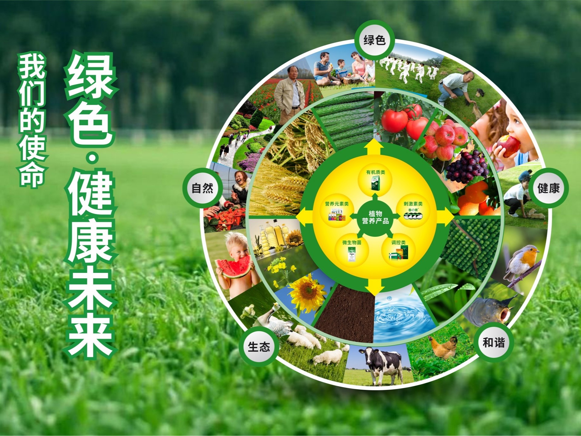 【產(chǎn)品之道】走植物營(yíng)養(yǎng)精品之路