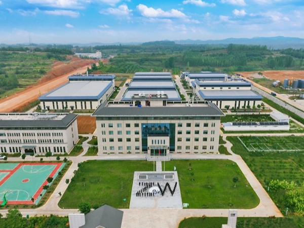 2024半年度啟動(dòng)會(huì)團(tuán)隊(duì)造型